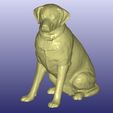Lab2.jpg Labrador Sculpture (Dog Statue Color 3D Scan)