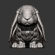 Rabbit7.jpg Rabbit American Fuzzy Fop 3D print model