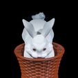 Cottontail-Rabbit-Basket-1.jpg Cottontail Rabbit Basket