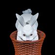 Cottontail-Rabbit-Basket-1.jpg Cestino a forma di coniglio dal codino bianco