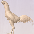 chicken.PNG Rooster Gamefoul game chicken asil cnc relief