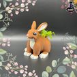 IMG_35871.jpg Cute Bunny Planter 🐇🪴