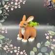 IMG_35871.jpg Niedlicher Hasenübertopf 🐇🪴