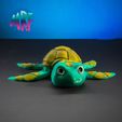 05.jpg Turtle due Flexi