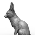 untitled.84.png Fennec fox