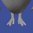 asdfasgag.png Humboldt penguin