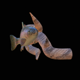 pstruh-4.png rainbow trout underwater statue on the wall detailed texture for 3d printing