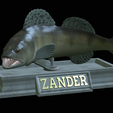 zander-statue-4-mouth-open-2.png fish zander / pikeperch / Sander lucioperca open mouth statue detailed texture for 3d printing