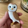 IMG_4783-conv.jpeg Owl on tree Figurine and Ornament- No supports - 3mf Included