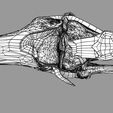 file-5.jpg Knee joint cut open detail labelled 3D model