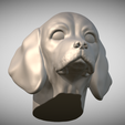 Zrzut-ekranu-2025-06-13-220114.png 用于 3D 打印的比格犬头部小狗