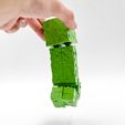 IMG_3423.jpg MINECRAFT FLEXI-CREEPER ARTICULATED PRINT IN PLACE CREEPER