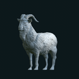IMG_0201.png Goat standing stl
