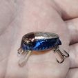 Beetle-fishing-lure-8.jpg Beetle fishing lure