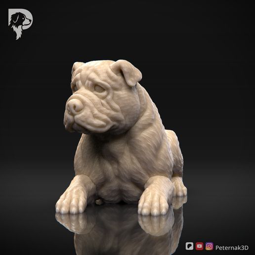 Bulldog-Pose-09-Dog-3D-Print-9s.jpeg Bulldog Dog 3D Print Model Pose 09
