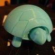 Tortue Spongieuse