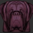 21.jpg English Mastiff head for 3D printing
