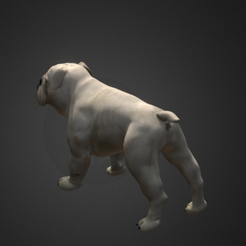 Captura2.PNG Free STL file Bulldog・3D printing model to download