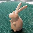 rabbit_dec_00.jpg Rabbit Decoration (treat holder)