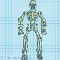 esqueleto.png skeleton