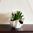 2.png Beautiful Planter - Print in Place