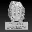 rttds.jpg NCAA - Indiana Hoosiers University statue decor - 3d print