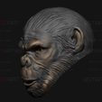 09.jpg King Monkey Mask - Kingdom of The Planet of The Apes