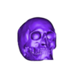 Skull.obj Detailed Skull