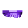 joel leyva_maxillar_based.stl Dental Model/ Dental Model