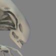 6_00000.jpg Alien Xenomorph Modelo de impresión 3D Modelo de impresión 3D
