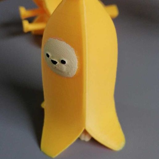 WhatsApp-Image-2023-10-09-at-17.16.54-1.jpeg Gato banana print in place