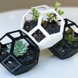 plantygon2.jpg Plantygon - Modular Geometric Stacking Planter for Succulents