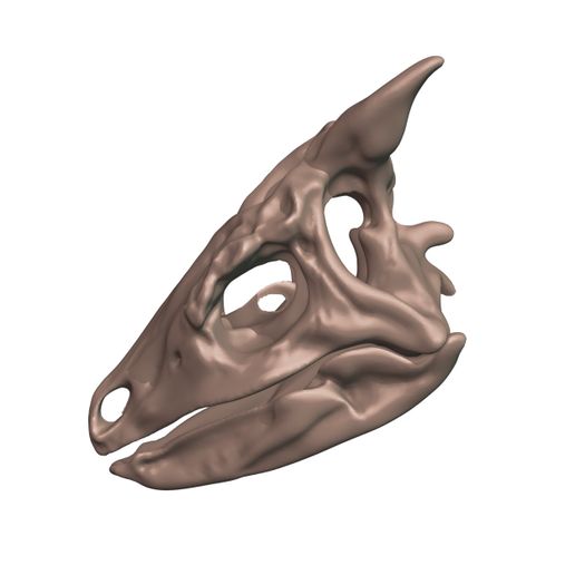 1.jpg Scelidosaurus harrisonii