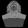 04-albert-einstein-bust-low-angle-view.jpeg Albert Einstein Bust HD – Scientist Sculpture for Office, Classroom & Library Decor