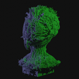 vid0005.png Alien Insectoid Bust
