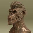 Screenshot-2025-03-04-at-9.23.26 pm.png APE.X - ANCESTOR PRIME - CHIMP MONKEY BUST