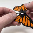 Image02e.jpg Butterfly Automaton