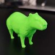 カピバラ（Capybara）3Dデータ