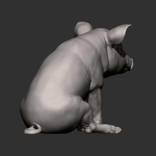 Baby-pig-sitting9.jpg Baby pig sitting 3D print model