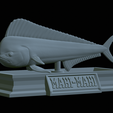 Base-mahi-mahi-21.png fish mahi mahi / common dolphin fish statue detailed texture for 3d printing
