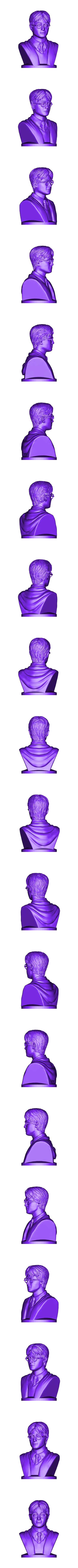 Harry_Potter_80mm.stl Harry Potter - Bust - 80mm
