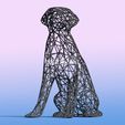 labrador-10.jpg Wired Labrador - 3D Wire Art