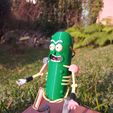 20240606_154309_HDR.jpg Pickle rick with rat armor