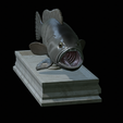 White-grouper-open-mouth-statue-34.png fish white grouper / Epinephelus aeneus open mouth statue detailed texture for 3d printing
