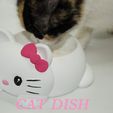 CAT-DISH-PRINT3D-PRINTINPLACE-FREE4.jpg cat dish