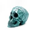 IMG_5273.jpg Skull Voronoi Low Poly