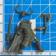 IMG_0208.jpg Barbarian - 35 mm Scale