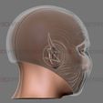 31.jpg Zoom Flash Mask - Hunter Zolomon Cosplay - DC Comics 3D print model