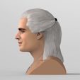 untitled.1725.jpg Geralt of Rivia The Witcher Cavill bust full color 3D printing