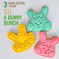 11111_Mesa-de-trabajo-1.jpg A Bunny Bunch - 3 Easter Cookie cutter COMBO with stamp